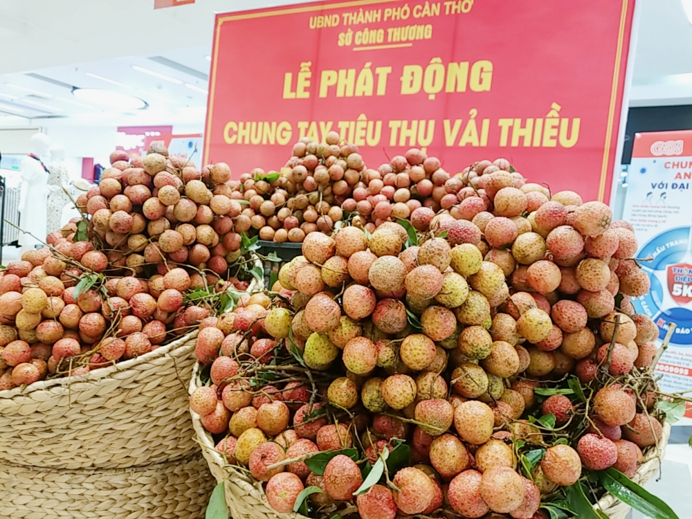 Cần Thơ chung tay tiêu thụ vải thiều Bắc Giang
