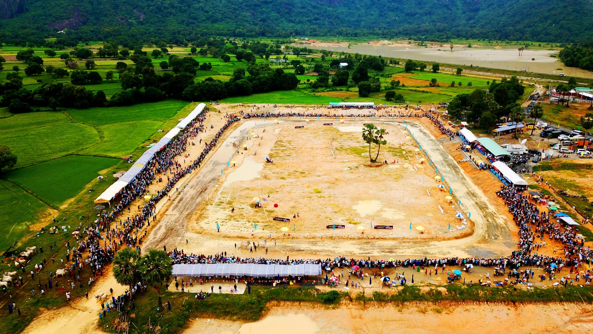 man nhan gay can tai hoi dua bo bay nui nam 2019 o an giang