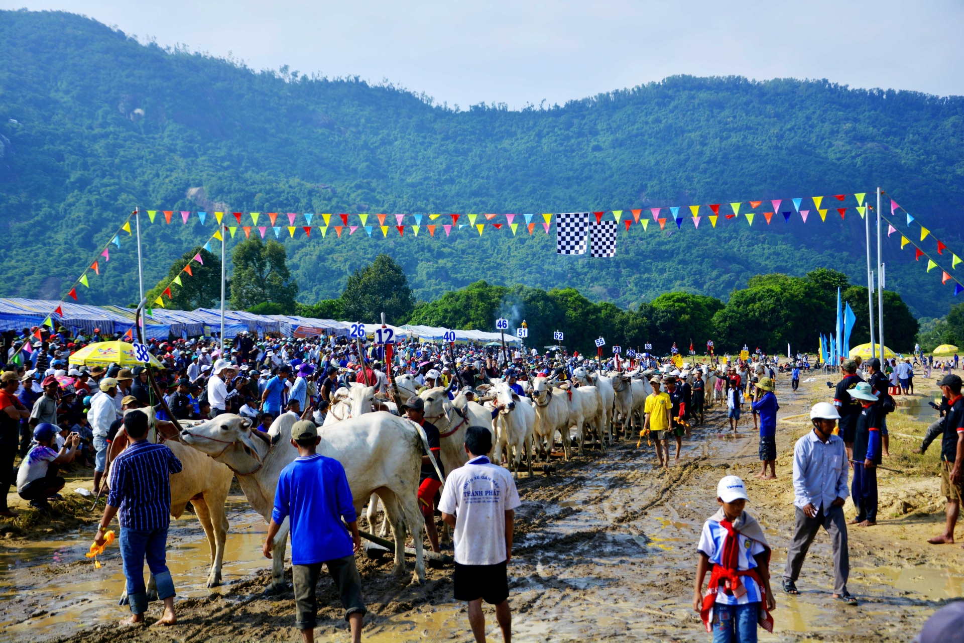 man nhan gay can tai hoi dua bo bay nui nam 2019 o an giang