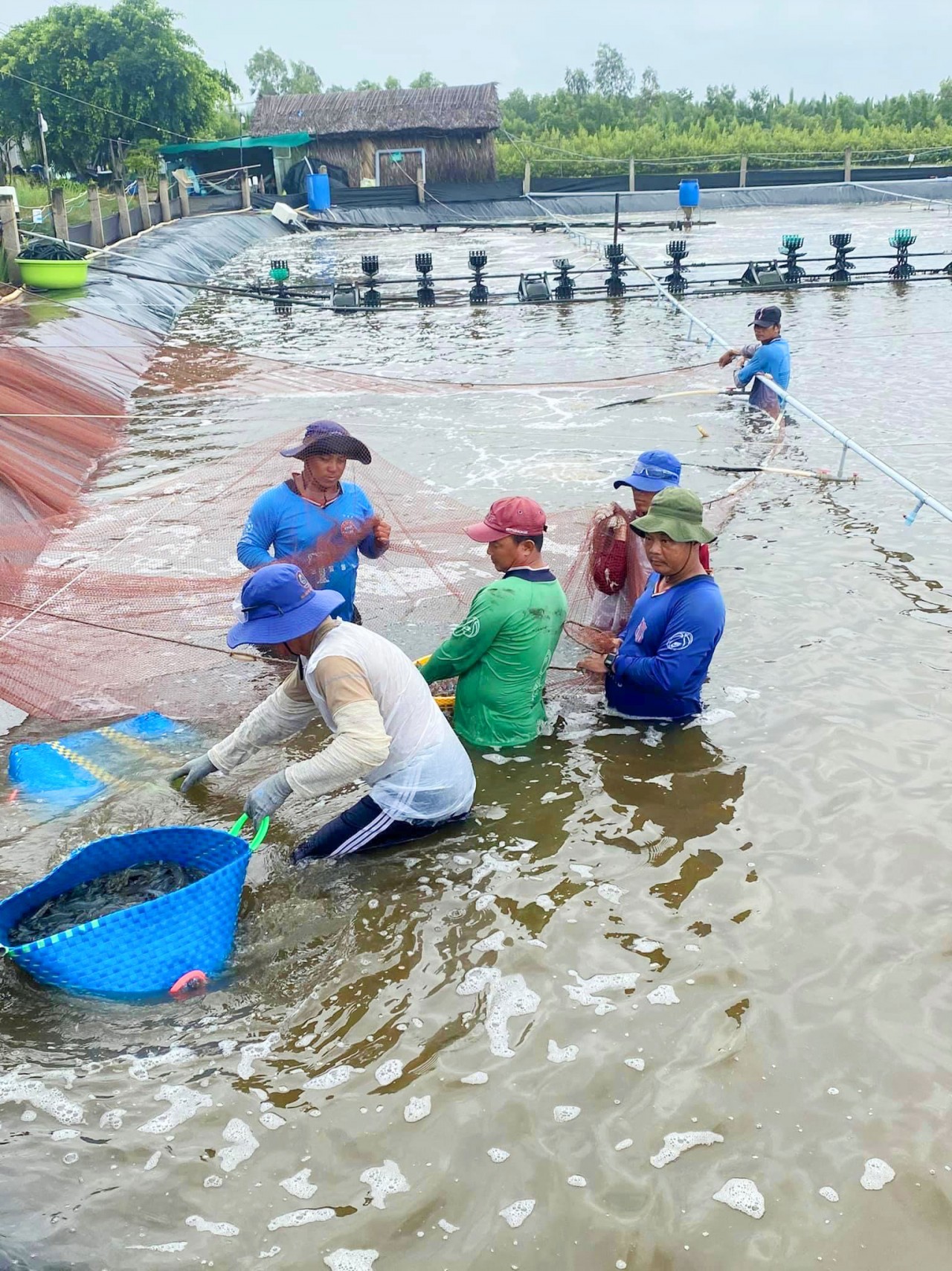 Cà Mau mở Diễn đàn trực tuyến kết nối tiêu thụ nông, thủy sản 2021