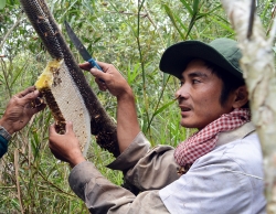 gac keo ong muoi ba khia duoc cong nhan di san van hoa phi vat the