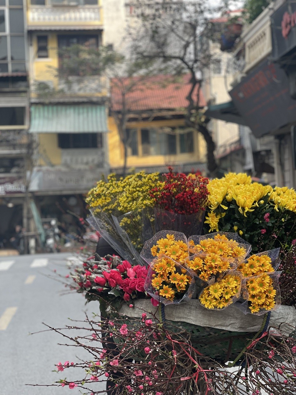 Việt Nam bừng sắc hoa