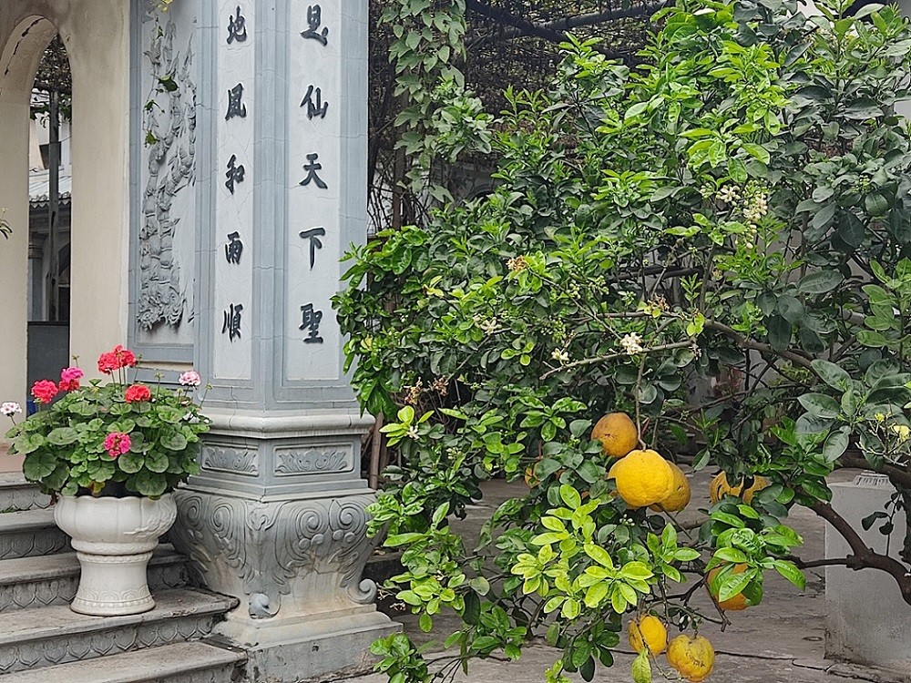 Việt Nam bừng sắc hoa