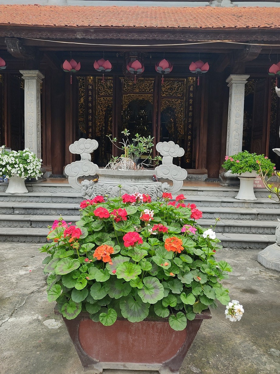 Việt Nam bừng sắc hoa