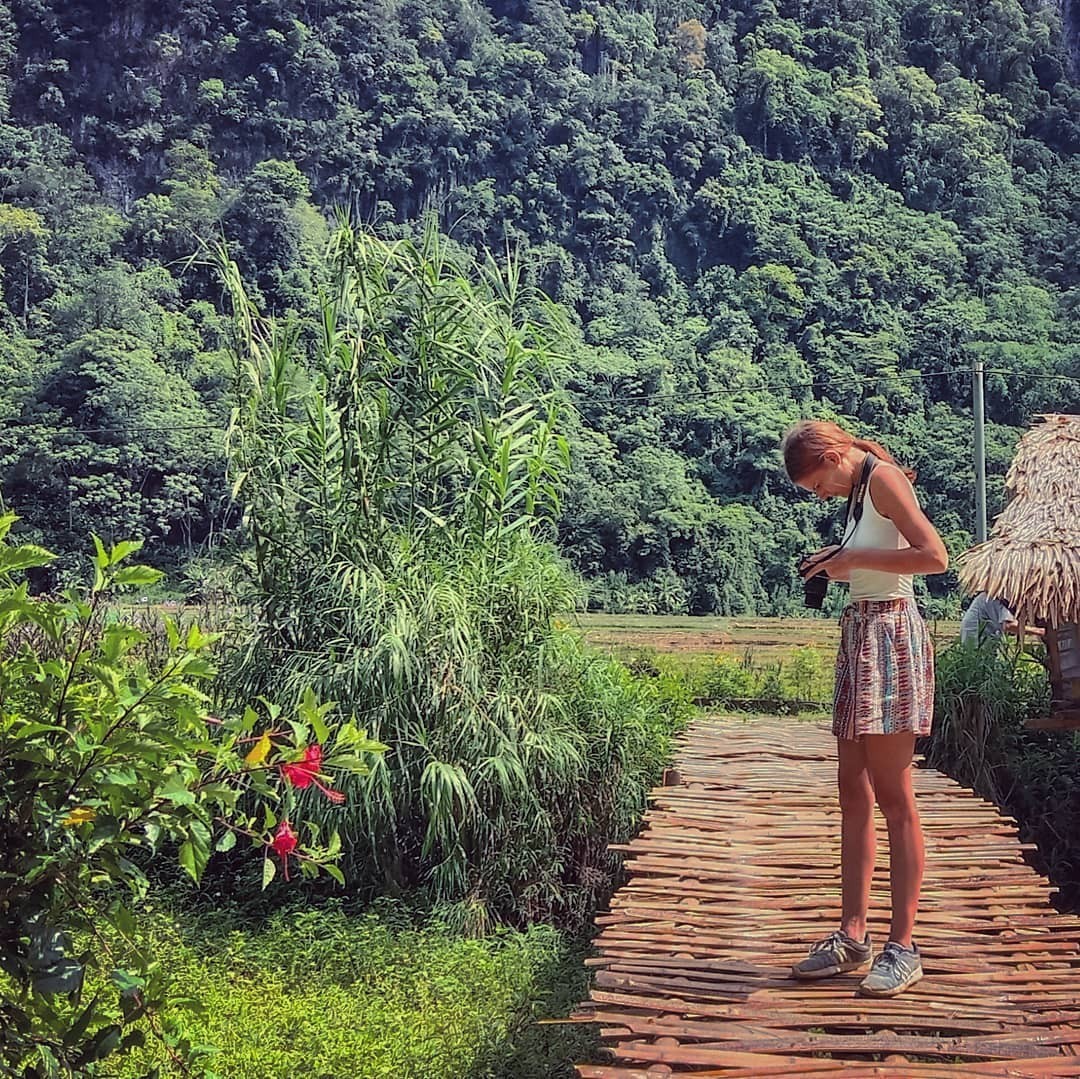 Việt Nam bừng sắc hoa Việt Nam bừng sắc hoa