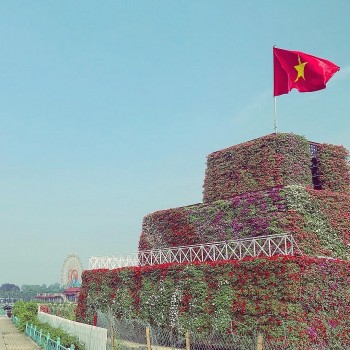 Việt Nam bừng sắc hoa