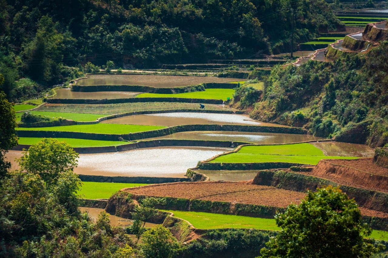 Việt Nam thu hút du khách nước ngoài trở lại Việt Nam thu hút du khách nước ngoài trở lại