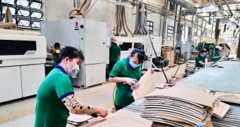 Khẳng định vị thế của Việt Nam trong hội nhập kinh tế
