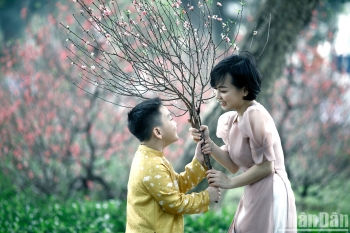 Nguồn gốc và ý nghĩa Tết Nguyên đán của người Việt