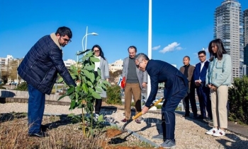 Trồng cây hướng tới kỷ niệm 30 năm quan hệ Việt Nam – Israel