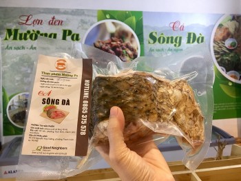 Lợn đen Mường Pa, cá trắm sông Đà xuống Hà thành