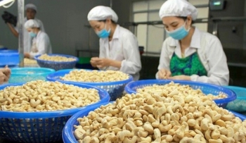 Doanh nghiệp xuất khẩu cần làm gì để tránh bẫy lừa trong giao dịch quốc tế?