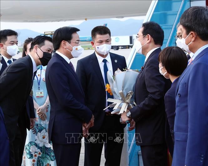 Bộ trưởng, Chủ nhiệm Văn phòng Chính phủ Trần Văn Sơn đón Thủ tướng Nhật Bản Kishida Fumio tại sân bay Quốc tế Nội Bài (Hà Nội). Ảnh: Phạm Kiên/TTXVN