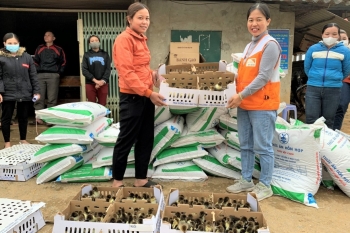 Tổ chức Tầm nhìn Thế giới hỗ trợ sinh kế cho 160 hộ gia đình ở Bá Thước (Thanh Hóa)