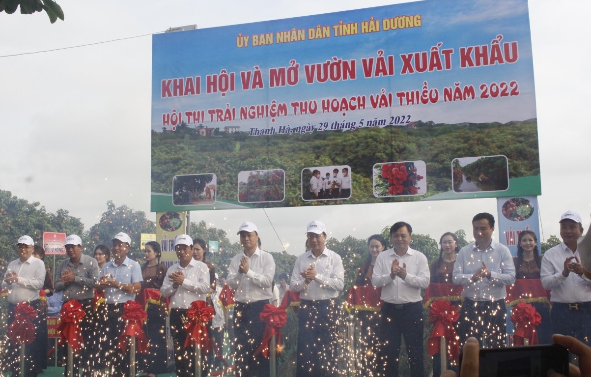 Chùm ảnh: Hải Dương khai hội mở vườn vải xuất khẩu