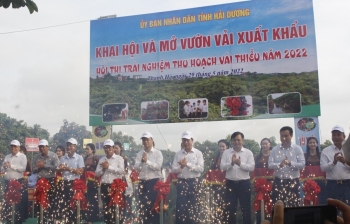 Chùm ảnh: Hải Dương khai hội mở vườn vải xuất khẩu