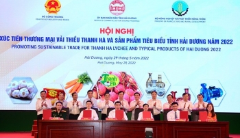 Vải thiều Hải Dương cần 'số hóa' để ra thế giới
