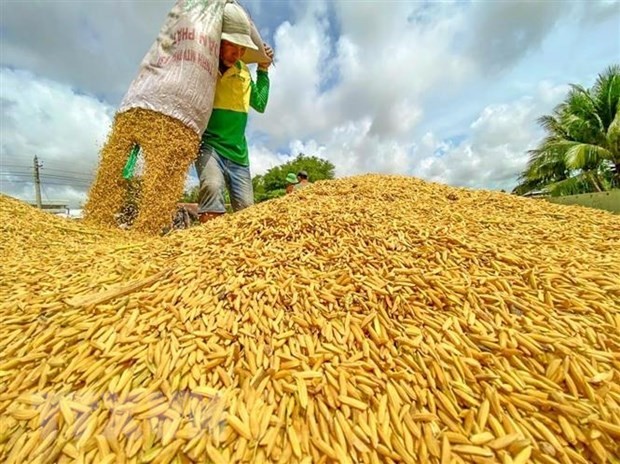 Việt Nam hỗ trợ giải quyết "cơn đau đầu" về lương thực của châu Phi
