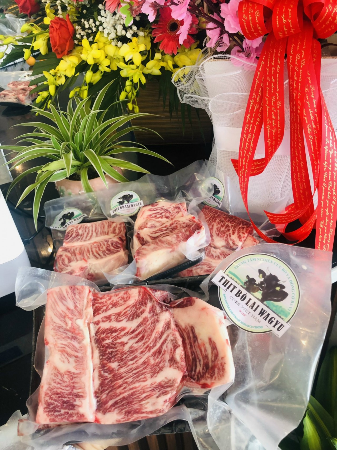 Bò Wagyu "made in Vietnam": nghe nhạc, uống bia, massage như "ông hoàng"