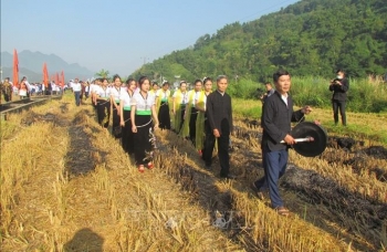 Đặc sắc Lễ hội Kin lẩu khẩu mẩu (lễ hội Cốm mới) của đồng bào dân tộc Thái ở Lai Châu