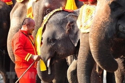 vi sao phan lan ha be bhutan tro thanh quoc gia hanh phuc nhat the gioi nam 2019