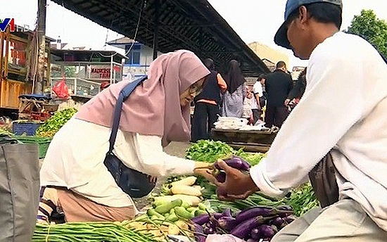 co gai di tien phong trong loi song khong rac thai tai indonesia