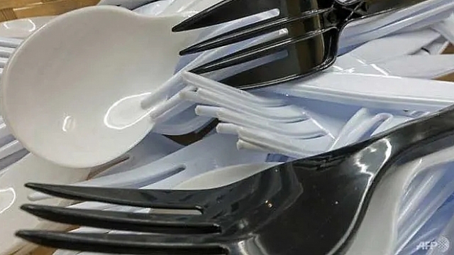 nghi vien chau au thong qua lenh cam do nhua dung mot lan