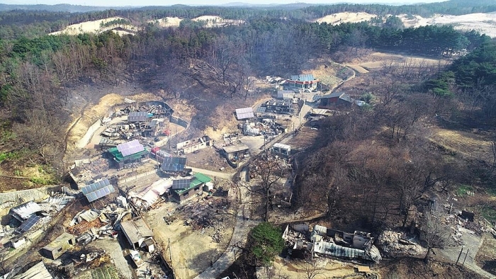 toan canh thiet hai kinh hoang tham hoa chay rung o han quoc