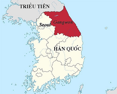 toan canh thiet hai kinh hoang tham hoa chay rung o han quoc