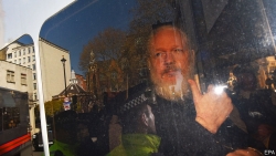 thuy dien mo lai cuoc dieu tra ong chu wikileaks ve toi hiep dam