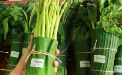 Việt Nam cùng một số siêu thị châu Á đồng loạt không sử dụng túi nhựa