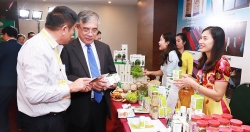 'Kéo' đầu tư Nhật Bản vào Bắc Trung Bộ