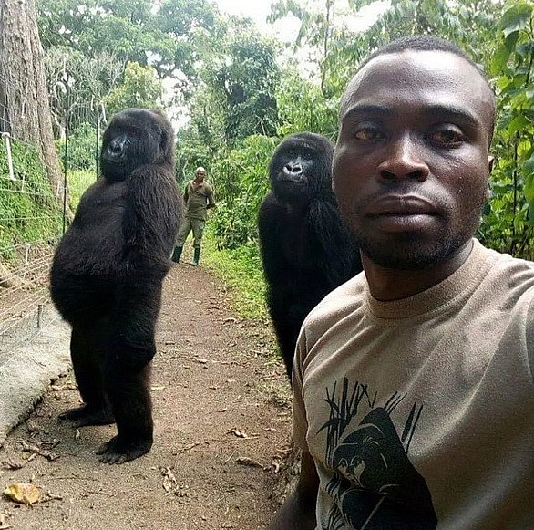 anh an tuong trong tuan khi dot tao dang chup anh selfie cung kiem lam