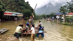 5 tổ chức phi chính phủ nước ngoài hỗ trợ 3 tỉnh miền Trung chống chịu thiên tai
