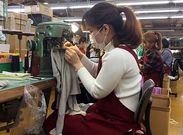 doanh nghiep nhat ban co nhu cau tuyen dung cuu thuc tap sinh viet nam cao