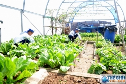 Kiều bào hướng về quê hương, gây quỹ cho quân dân Trường Sa