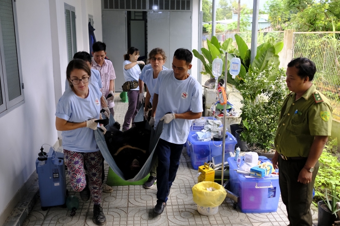 four paws thuc hien chuyen cuu ho gau lon nhat 2019 7 ca the gau ngua duoc giai cuu
