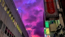 sieu bao hagibis vao nhat ban mot so khu vuc co the co song cao toi 13m