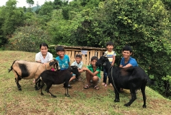 gan 1000 lao dong quang tri dang lam viec cho cac to chuc phi chinh phu nuoc ngoai