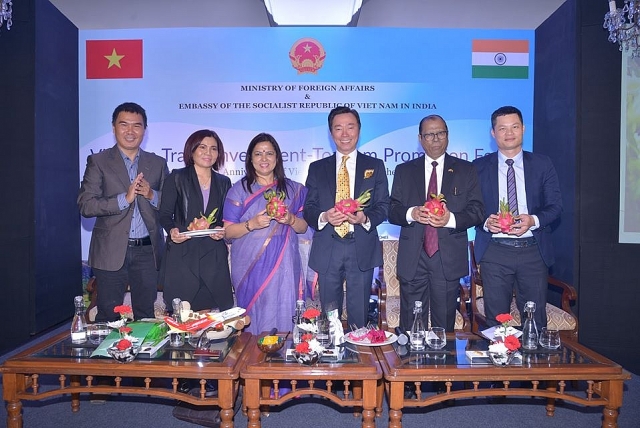 dai su quan viet nam dong hanh cung doanh nghiep tim kiem co hoi hop tac tai an do