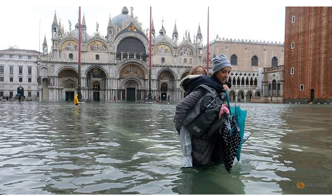 tham hoa venice chim nghim trong bien nuoc