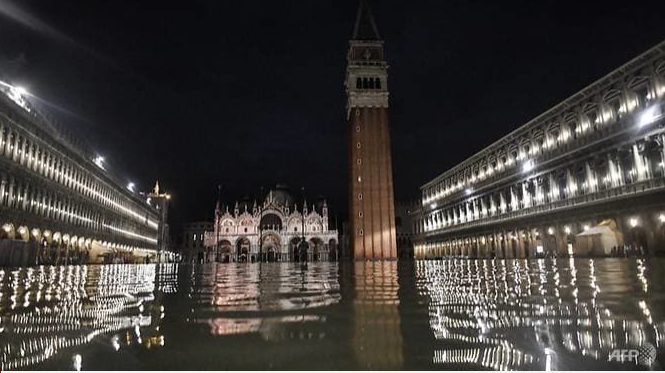 tham hoa venice chim nghim trong bien nuoc