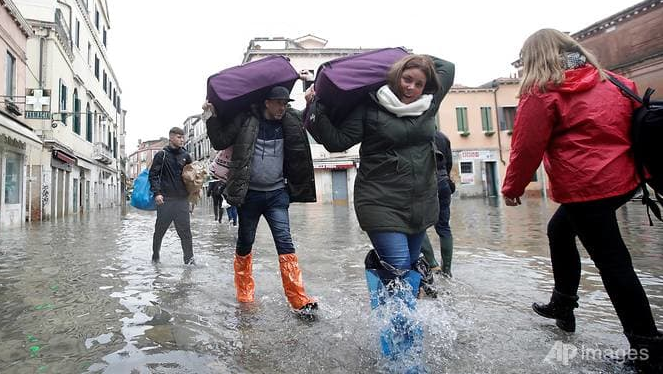 tham hoa venice chim nghim trong bien nuoc