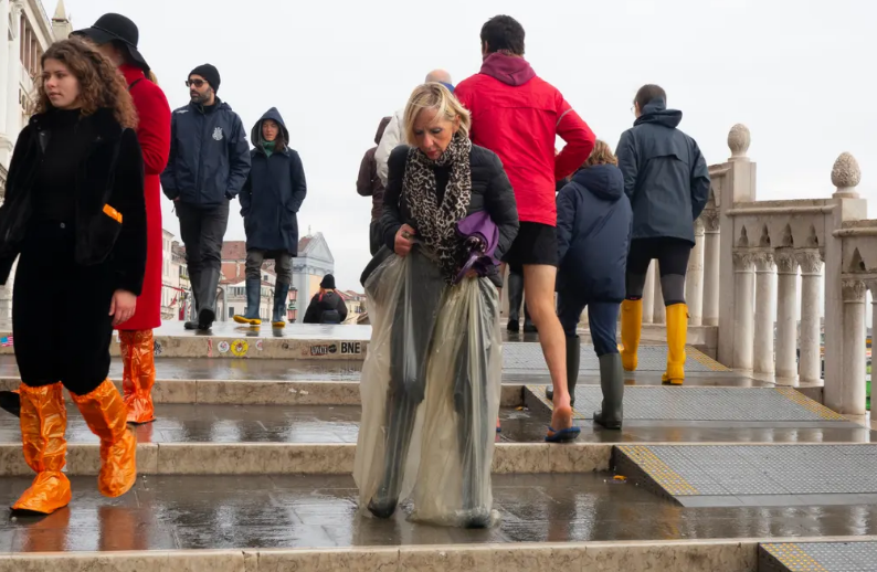 tham hoa venice chim nghim trong bien nuoc