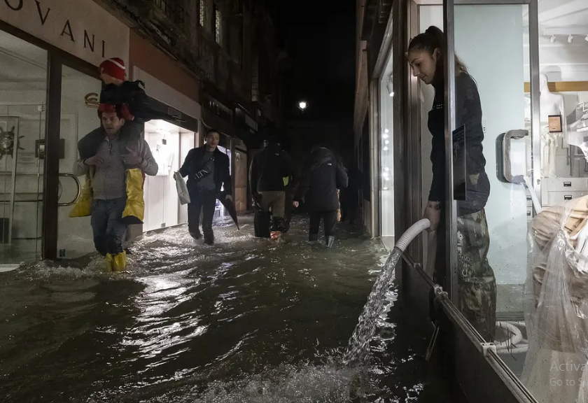 tham hoa venice chim nghim trong bien nuoc