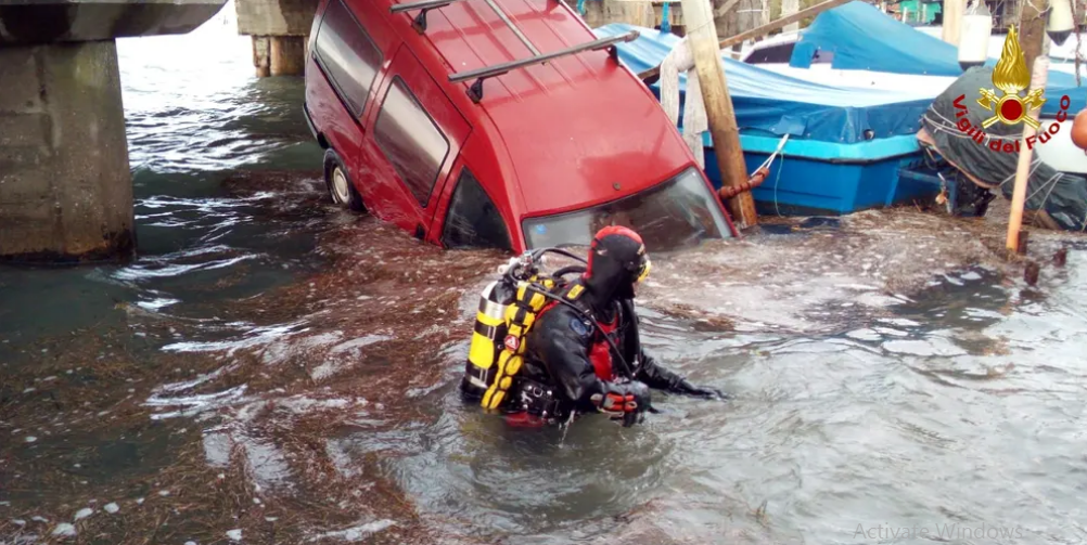 tham hoa venice chim nghim trong bien nuoc