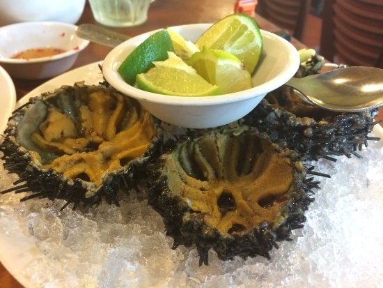 ghe ham ninh va nhung mon hai san ngon o phu quoc nhat dinh phai thu