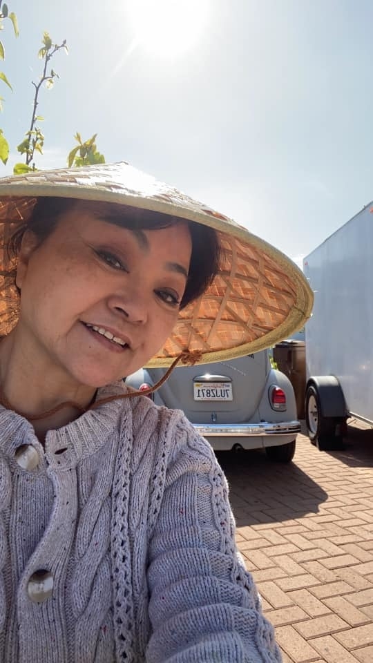 tin tuc giai tri sao viet hom nay 74 nhat kim anh quyen gop 3 tan gao cho nguoi dan kho khan mua dich covid 19