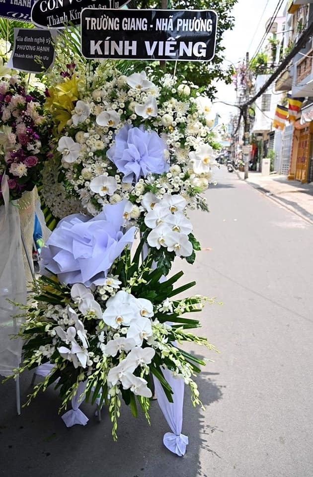 tin tuc giai tri sao viet hom nay 234 dan sao viet chia se du dinh sau khi ket thuc gian cach xa hoi