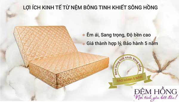 Top 5 đệm bông ép cao cấp tại Đệm Hồng “nằm là sướng” Top 5 đệm bông ép cao cấp tại Đệm Hồng “nằm là sướng”
